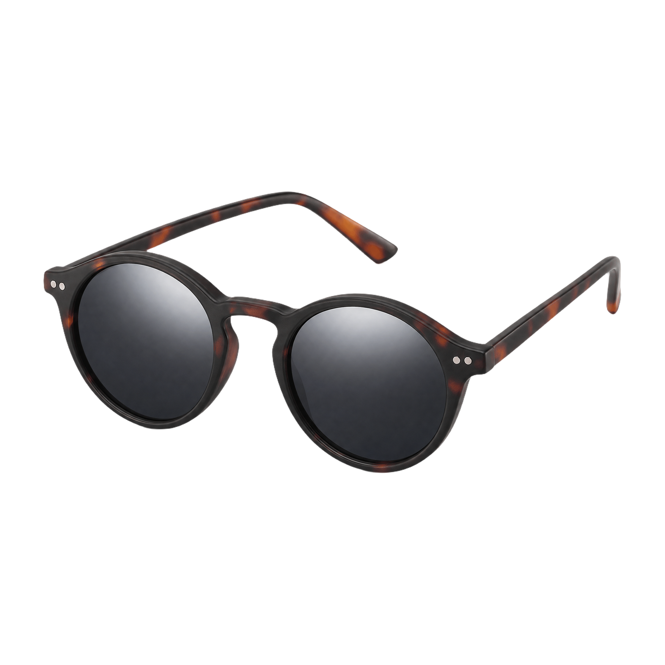 MV Rogue — Browline Sunglasses hero