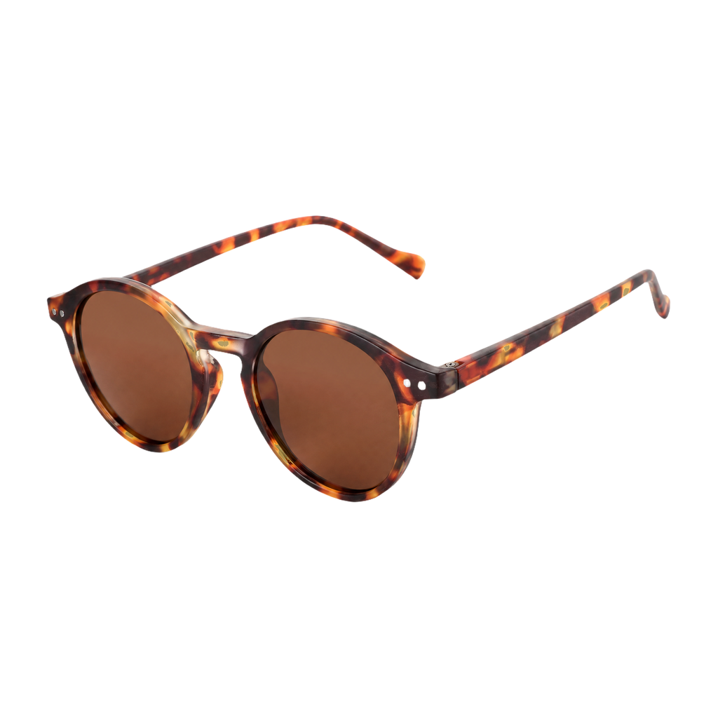 MV Cove — Browline Sunglasses Brown Lens
