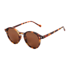 MV Cove — Browline Sunglasses Brown Lens