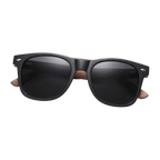 MV Regent — Browline Sunglasses folded