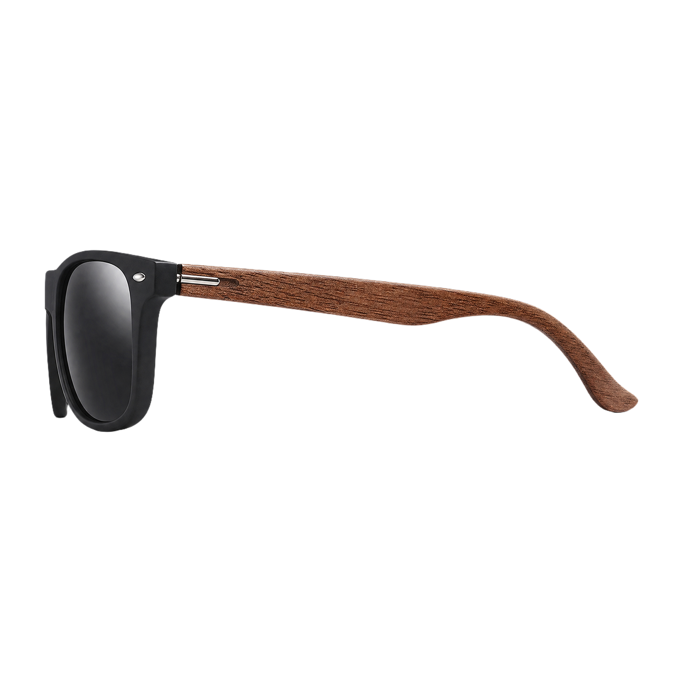 MV Regent — Browline Sunglasses side