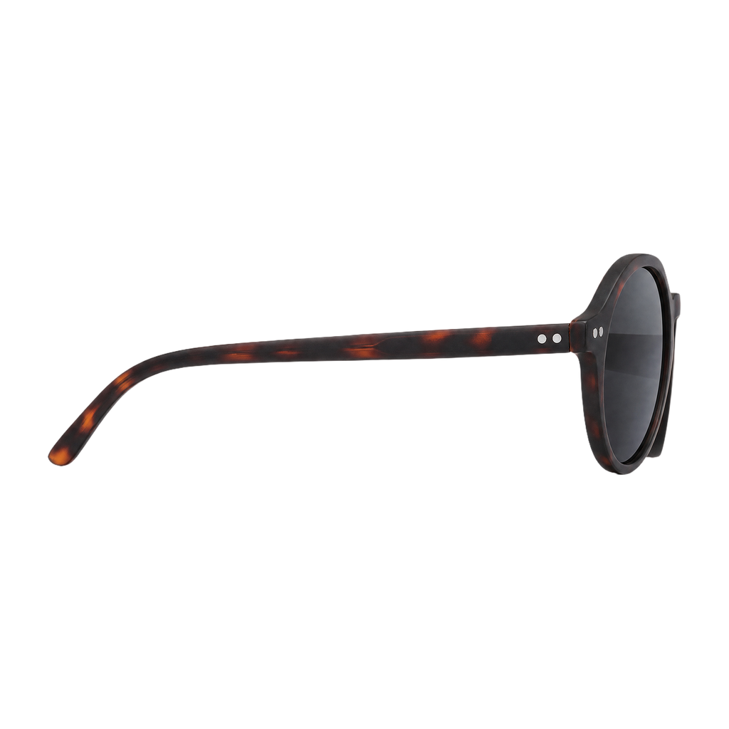 MV Rogue — Browline Sunglasses side