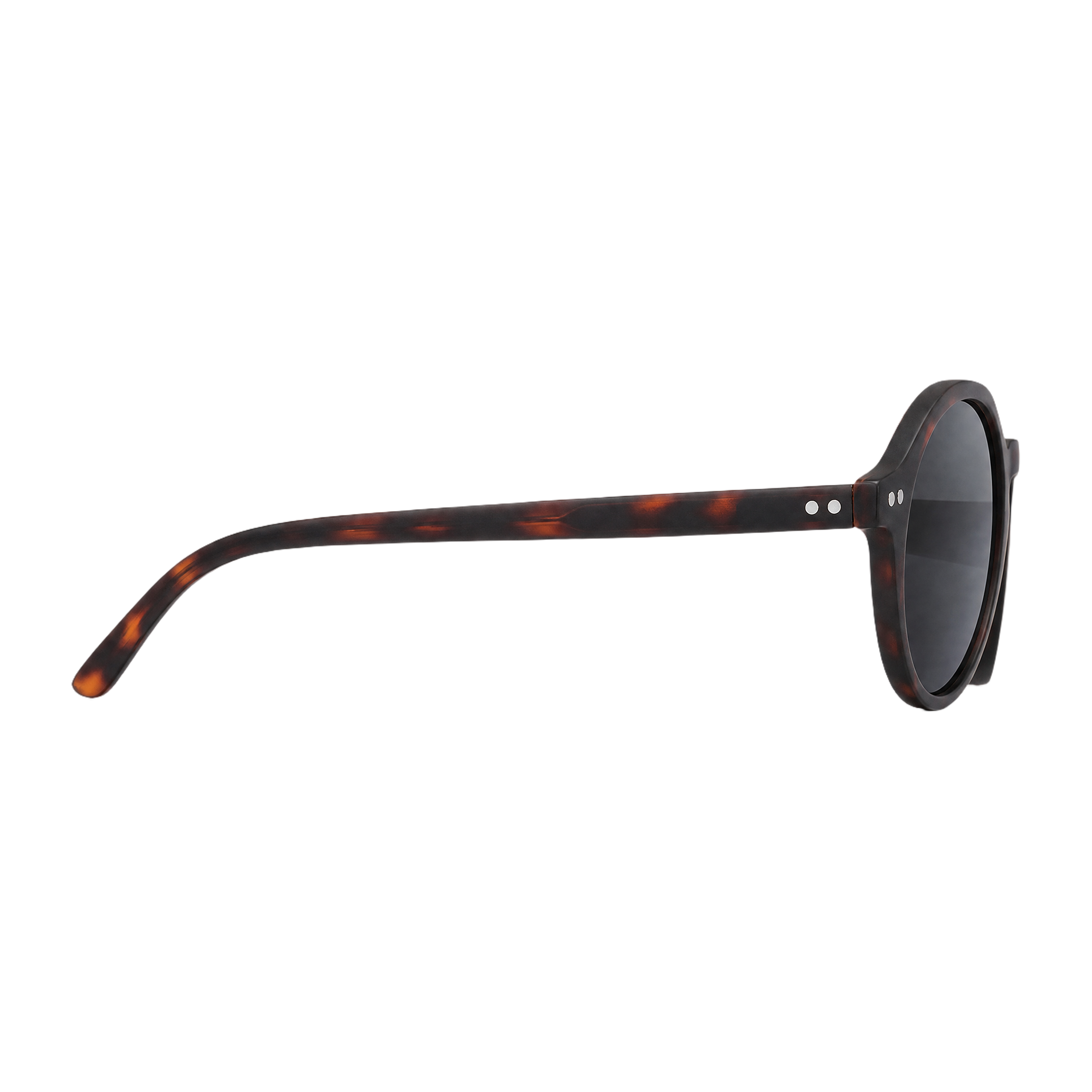 MV Rogue — Browline Sunglasses side