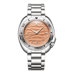 MERIDIAN Sand Steel variant (clean cutout)